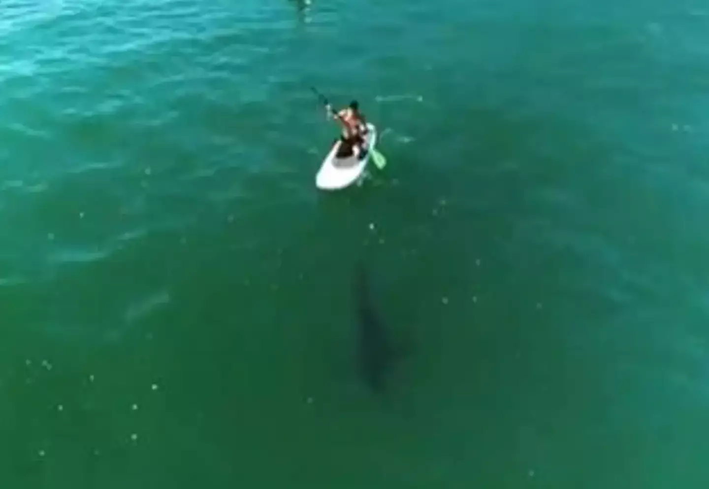 Talk about a close call.