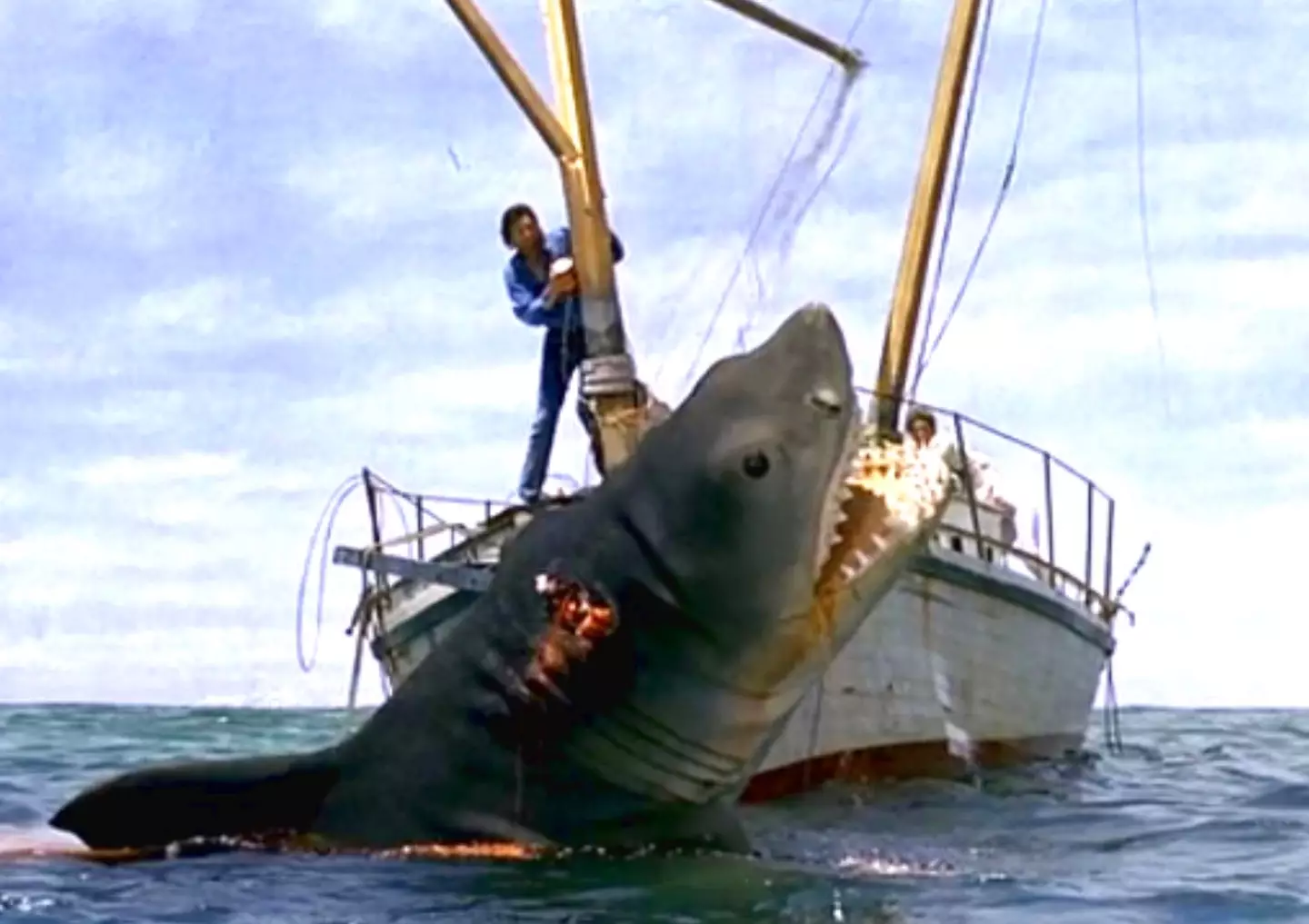 Jaws: The Revenge.