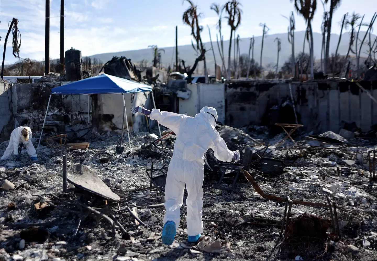 The wildfires left more than 100 people dead in Maui.