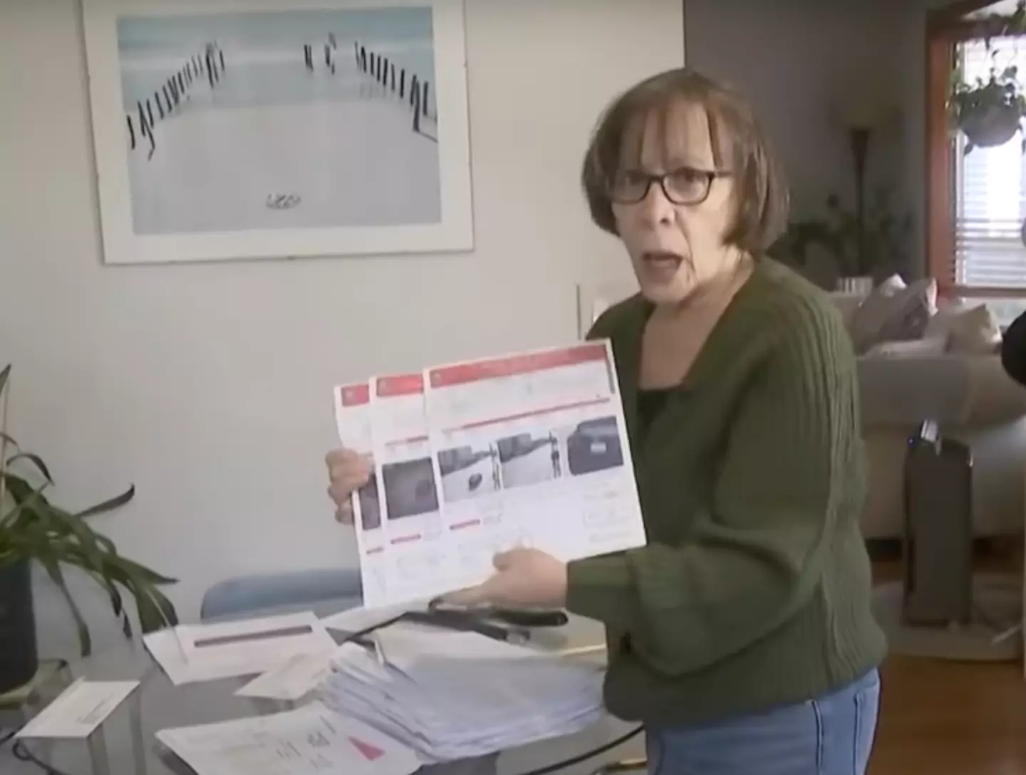 Breda Koorey has received hundreds of motor fines from across the US and even in Canada (CBS New York)
