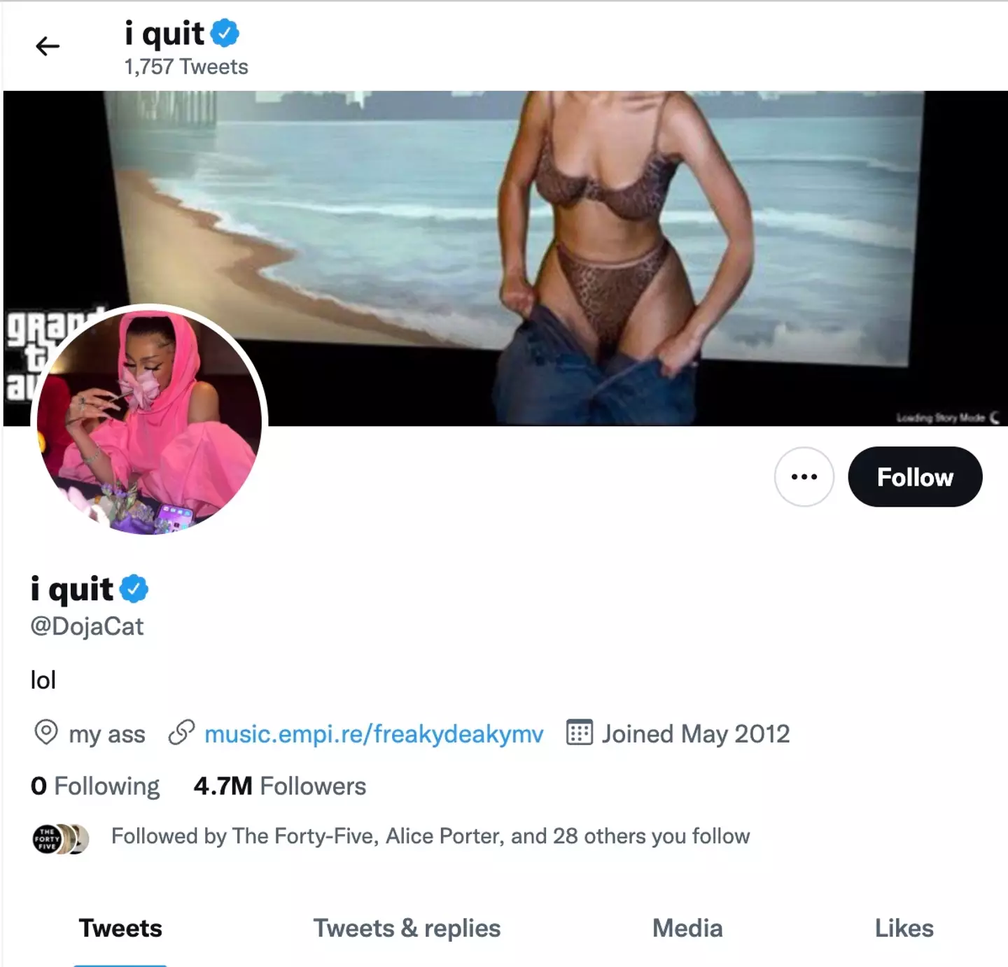 However, after replying to more tweets from like-minded fans, Doja Cat changed her name on Twitter to: “I quit" (Twitter Doja Cat)