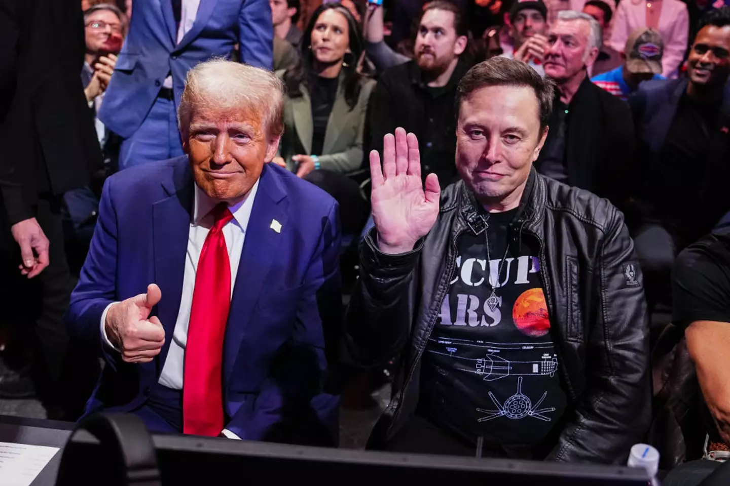 Musk was hired amid the creation of the Department of Government Efficiency (Jeff Bottari/Zuffa LLC)