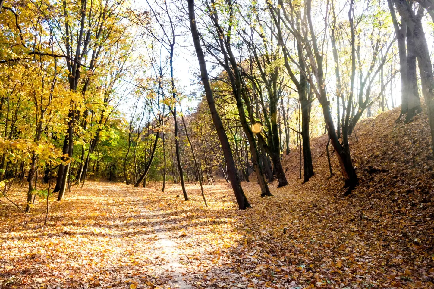 Witches are said to have gathered at Bald Mountain.