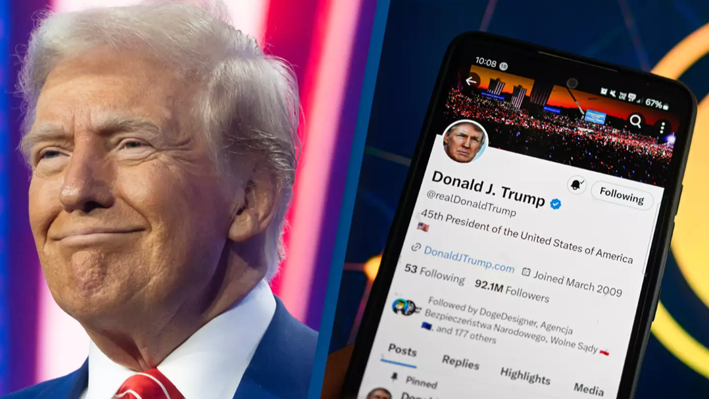 Over 500 people became millionaires in less than 24 hours after investing in Donald Trump's new cryptocurrency
