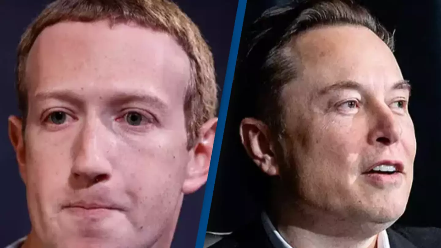 Mark Zuckerberg asks Elon Musk to 'send him location' after being challenged for cage match