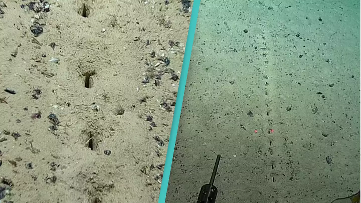 NOAA