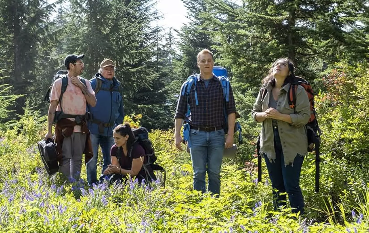 Resident Alien has proven popular (Netflix)