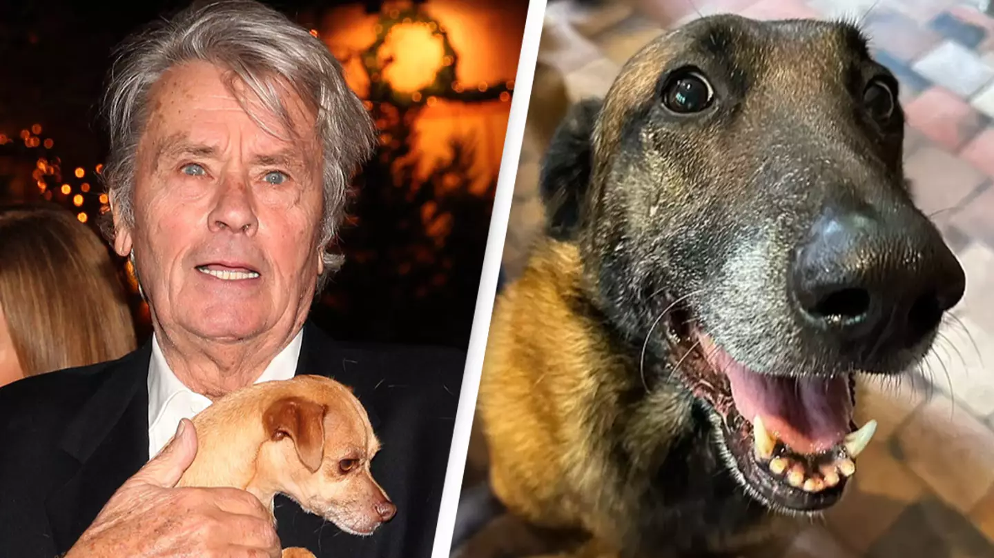 Late actor wished for dog to be put down and buried with him but family refused