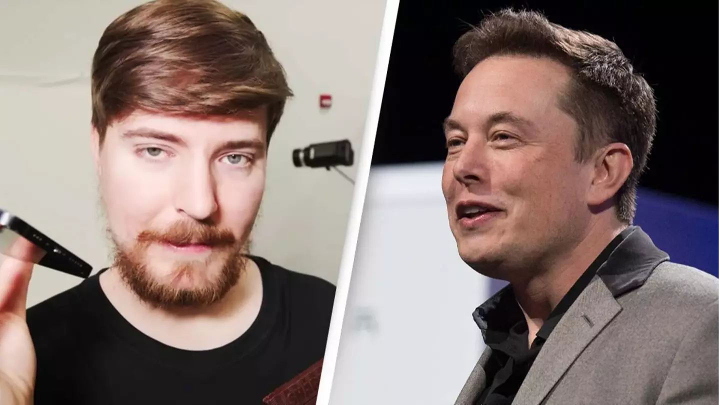 MrBeast asks if he can be the new Twitter CEO and Elon Musk responds