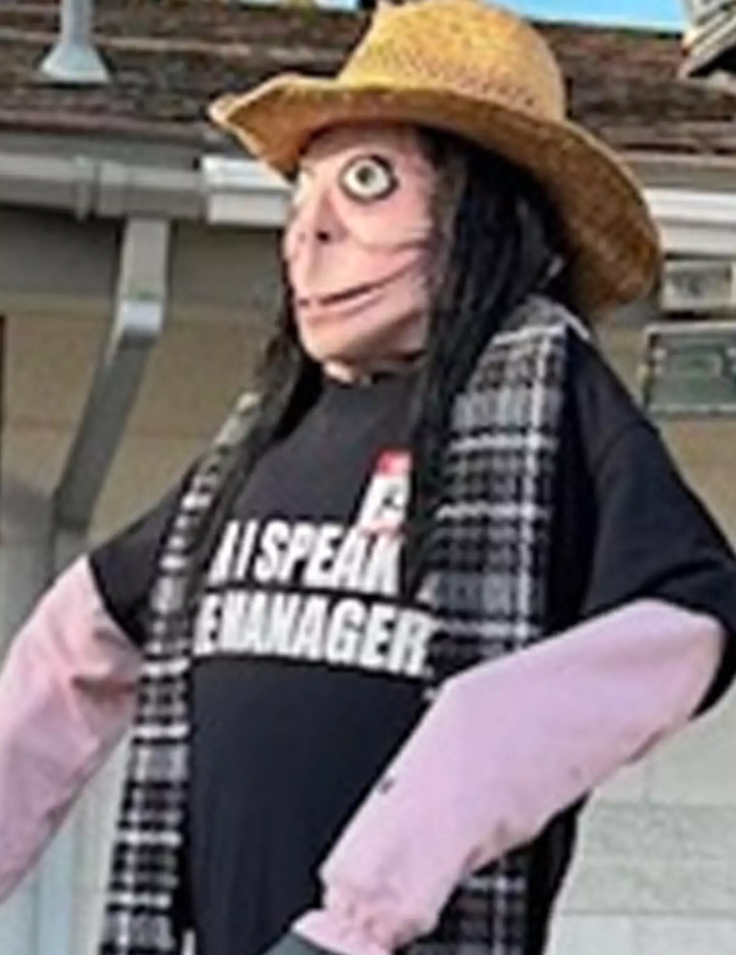 The scarecrow is pretty creepy. Credit Posser Historic