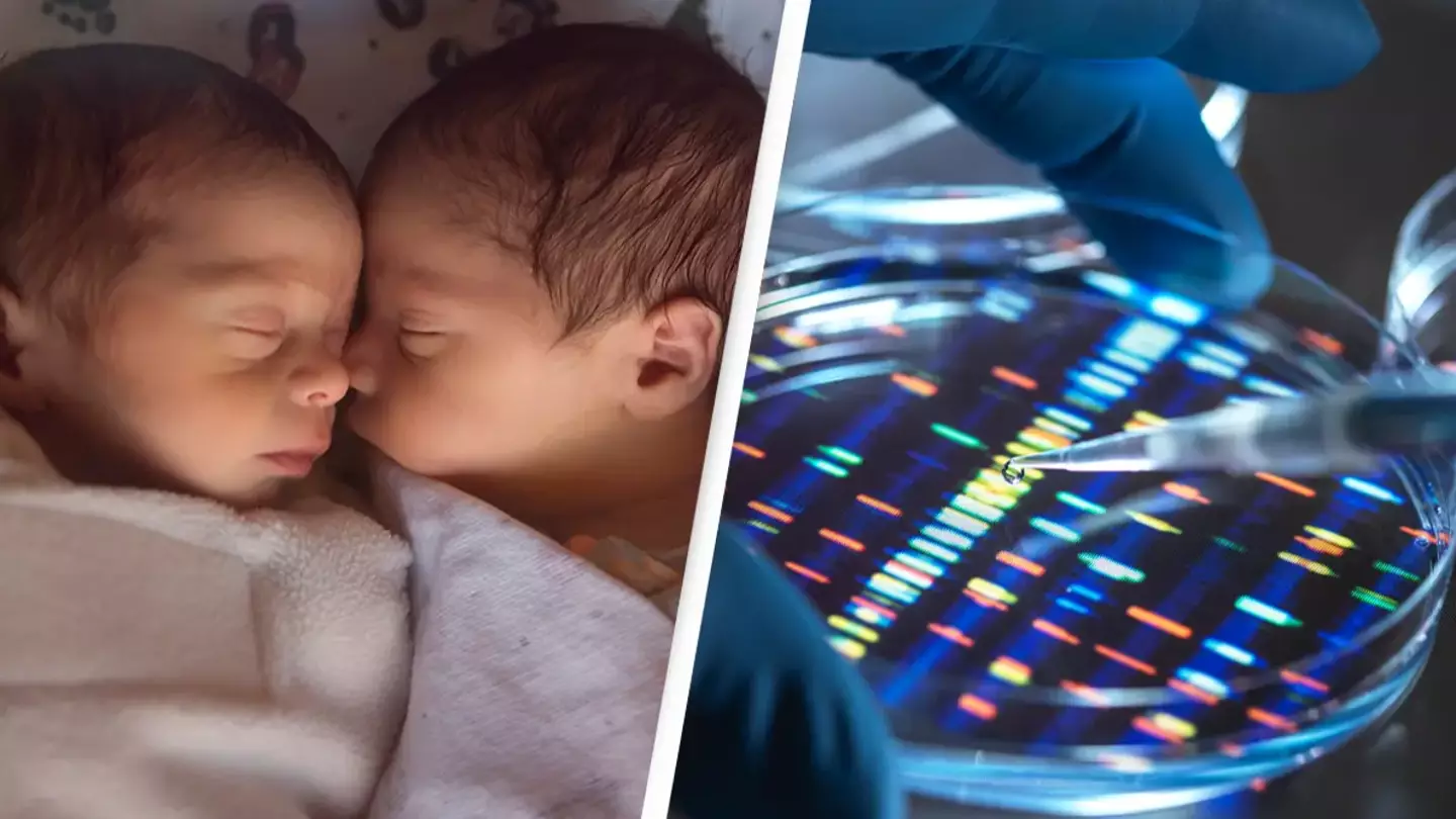 Identical twins separated aged two and raised in the US and Korea have ‘striking’ IQ difference