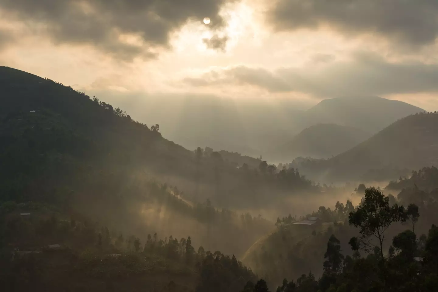 Ruptures in tectonic plates can create new boundaries.