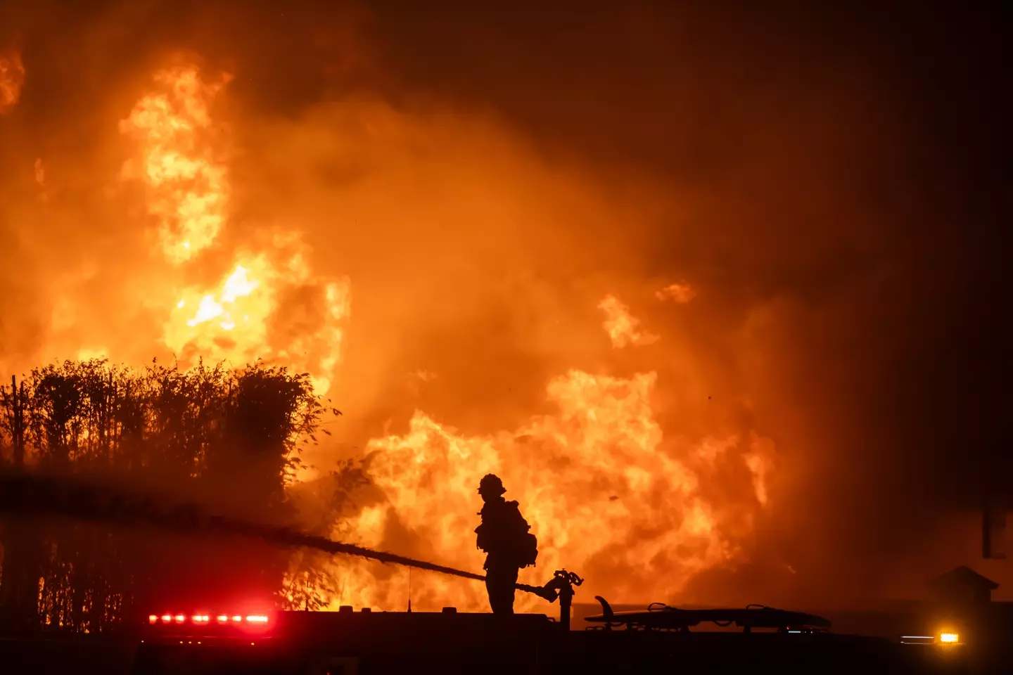 Firefighters have been attempting to get the Los Angeles wildfires under control (Apu Gomes/Getty Images)