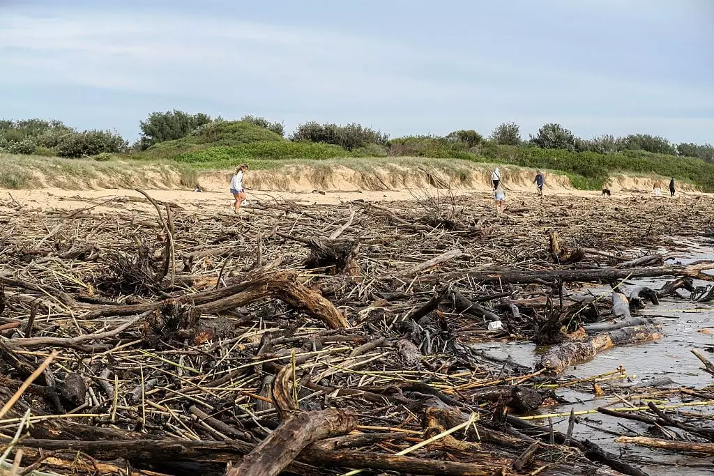 Flood debris covers Horseshoe Beach following the aftermath of torrential rain in New South Wales, Australia, last week - which was caused by climate change (Roni Bintang/Getty Images)