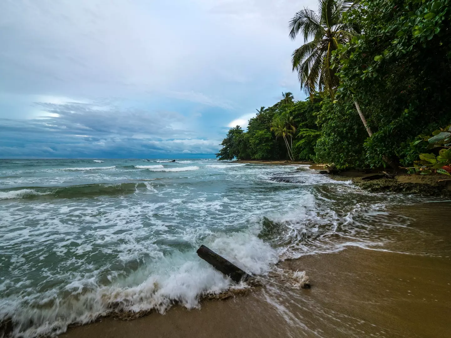 The actor was swimming off Playa Cocles when he tragically drowned (Getty Stock)