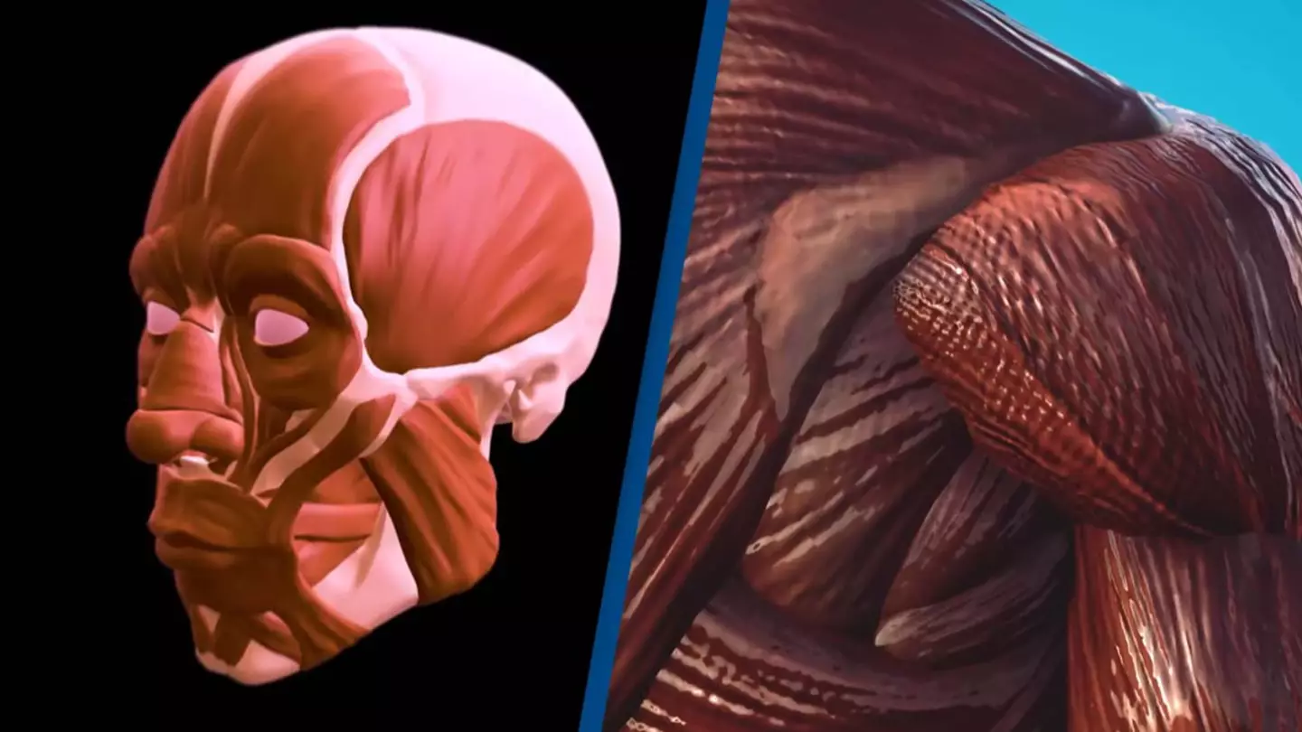 People shocked after finding out what is actually the strongest muscle in the human body and it's not your tongue