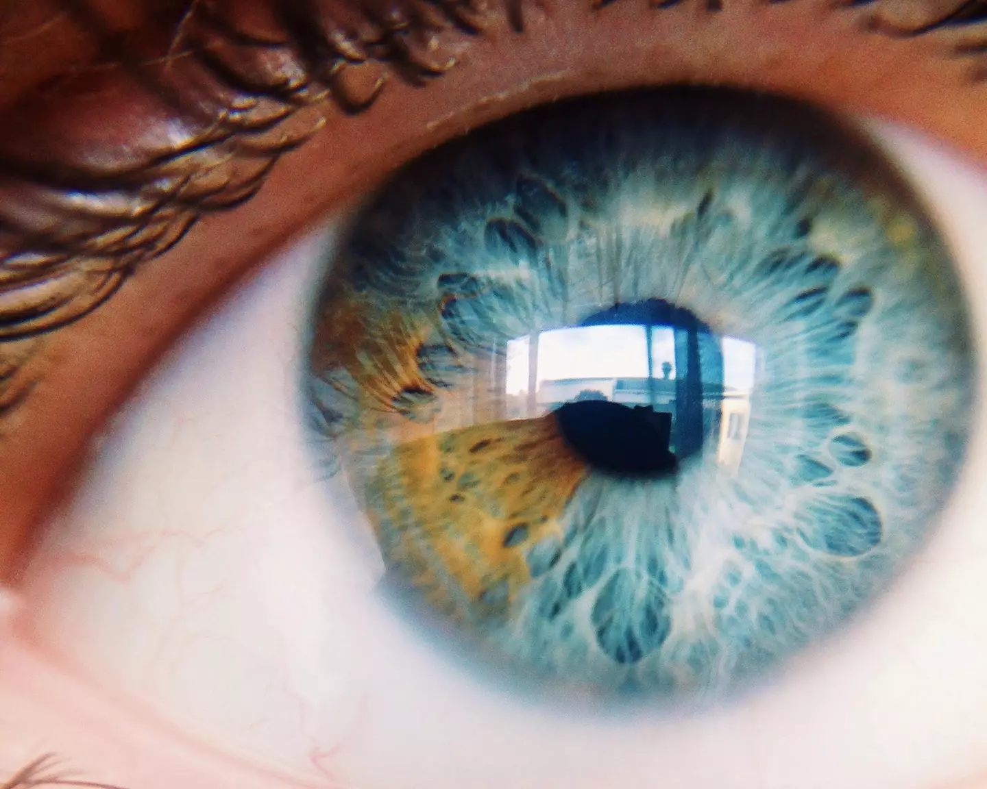 Scientists have brought cells in organ donor eyes back to life.
