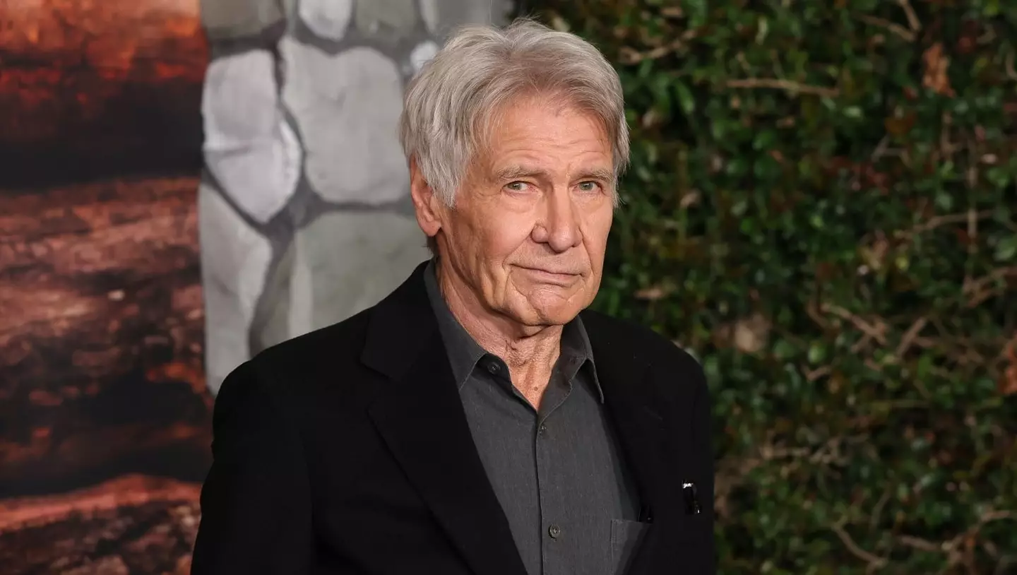 Harrison Ford has issued some scathing remarks about the Trump administration (Maya Dehlin Spach/FilmMagic)