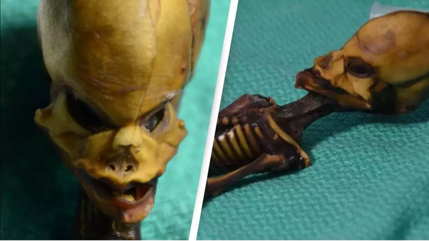 Mystery of ‘atacama alien’ solved after genetic analysis