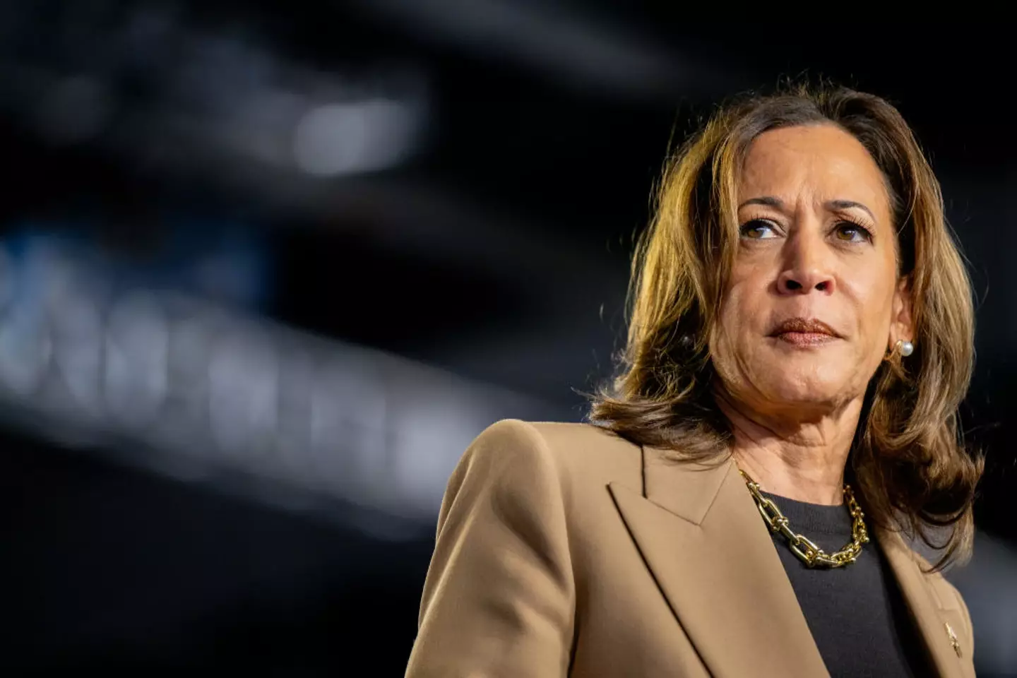 Kamala Harris lost out on the 2024 presidential election to Republican leader Donald Trump (Brandon Bell/Getty Images)