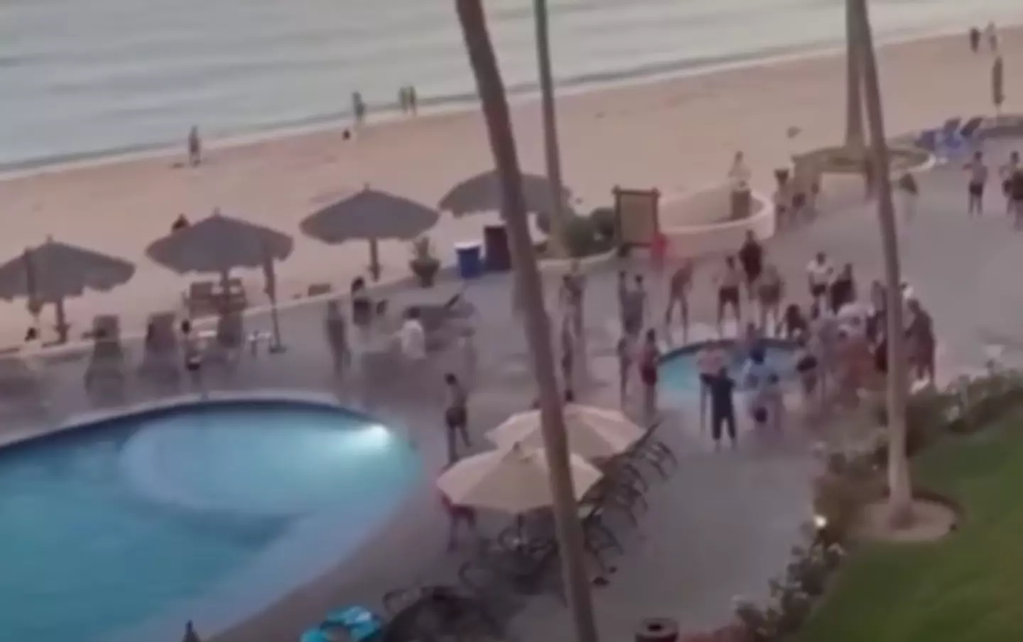 Harrowing video footage shows people scrambling to help. (ABC News)