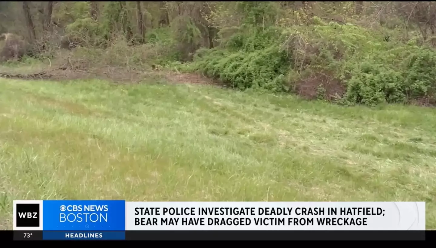 A man died in a car crash on Sunday in Hatfield, Massachusetts. (CBS Boston)