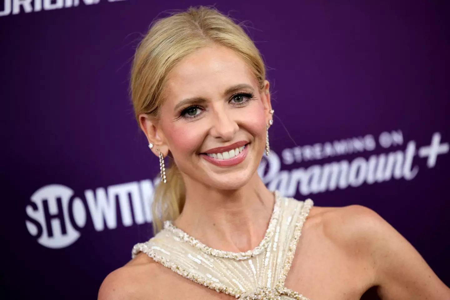 Fans want Sarah Michelle Gellar's Buffy to be the focus of the sequel (Dimitrios Kambouris/Getty Images)