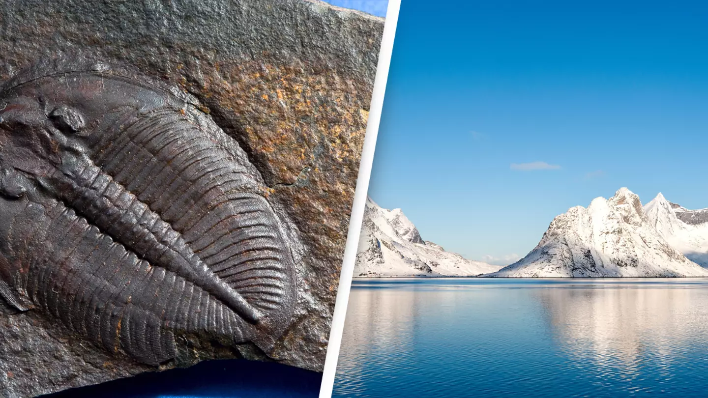 Centuries-Old Arctic Creatures Discovered To Be Surviving On Fossils Near The North Pole