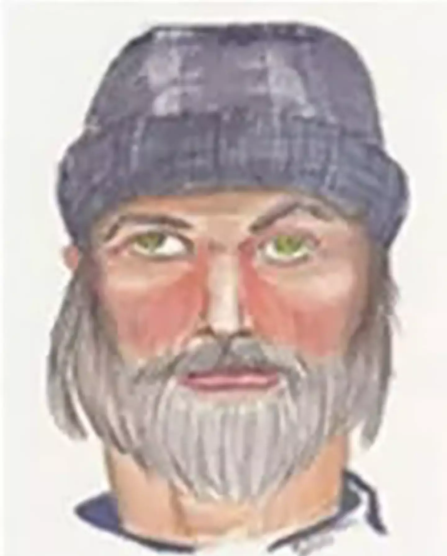 A police sketch of the I-65 killer.