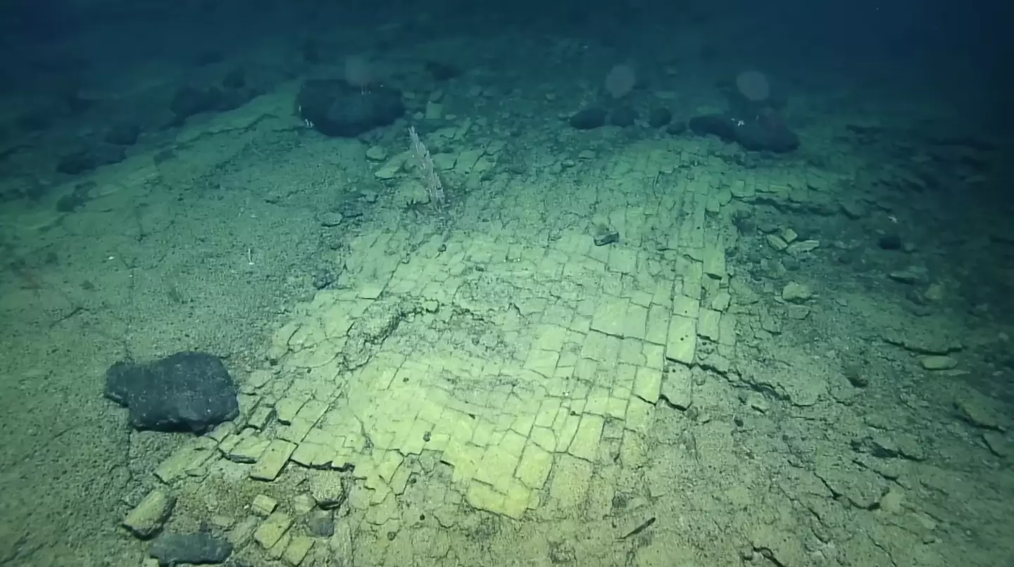 We're not in Kansas anymore.