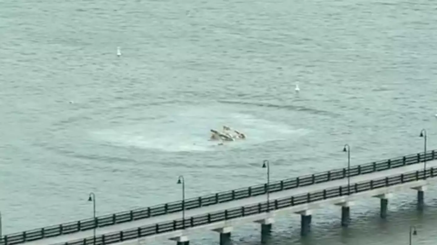 Helicopter crashes into NYC's Hudson River after it ‘split in half’ mid-flight