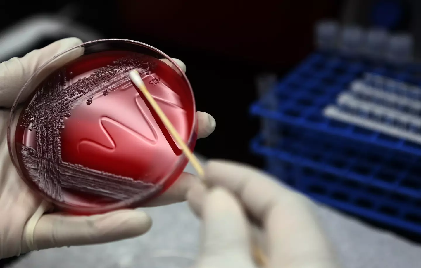 Routine tests for salmonella detected the bacteria's presence in one of the company's chocolate bars (Mayra Beltran/Houston Chronicle via Getty Images)