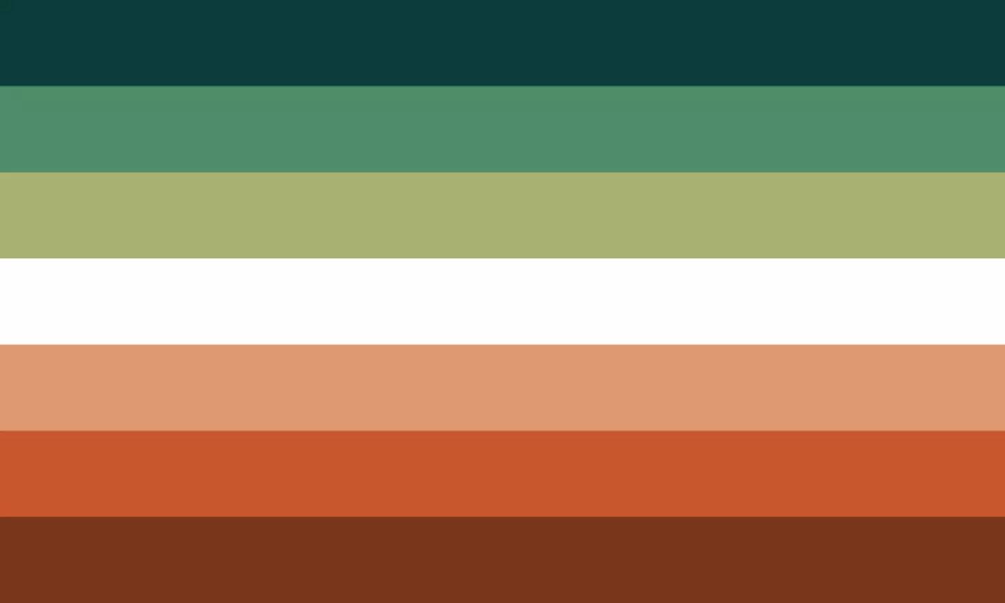 The Nebulasexual flag was designed back in 2020 and has now been adopted by Pride (Tumblr)