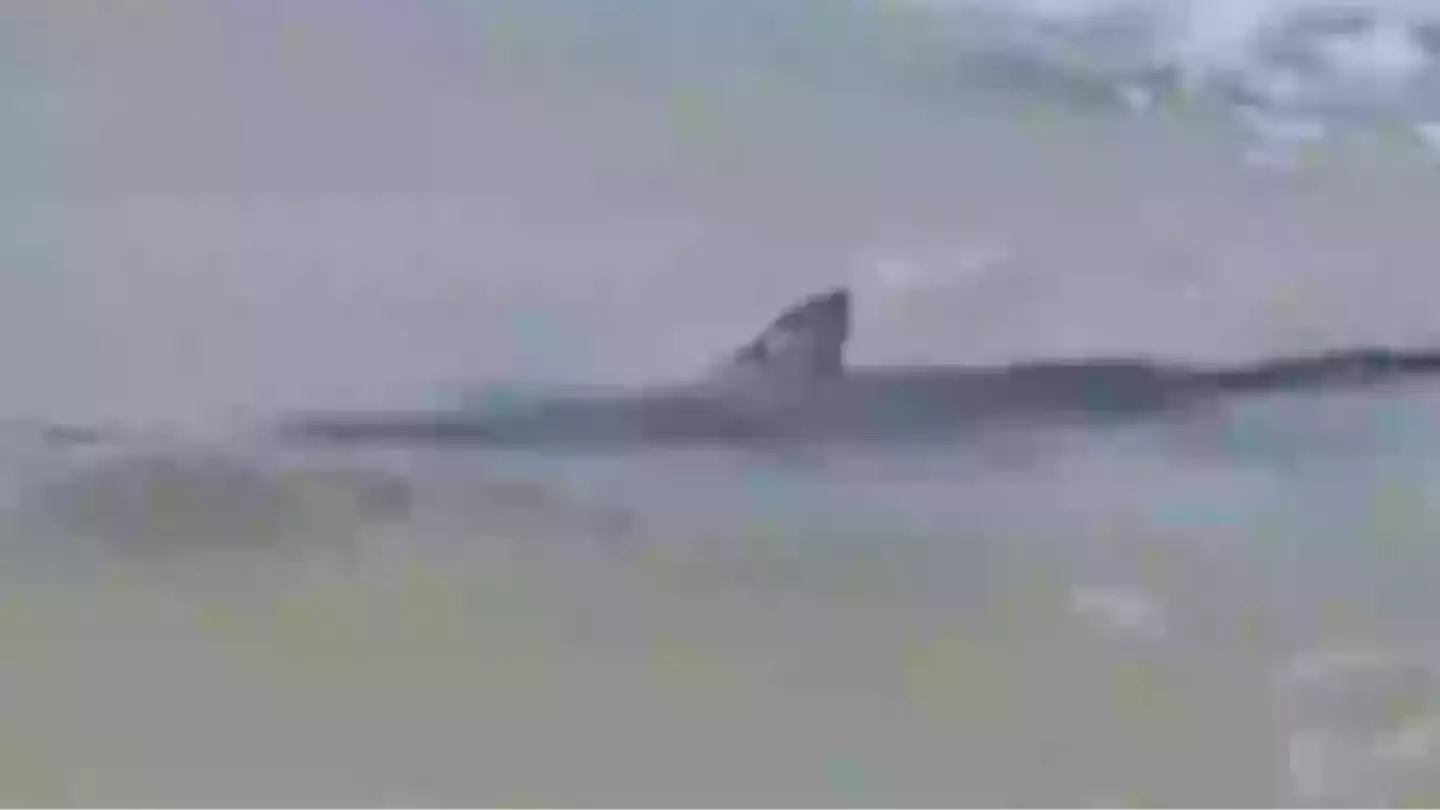 Last words of man attacked by shark revealed after chilling footage showed them swimming between beachgoers