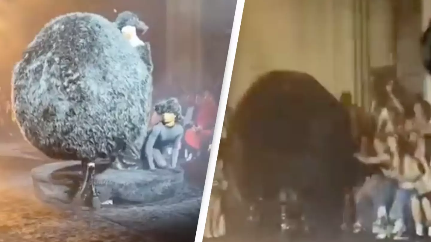 Model's giant fur ball costume backfires as she crashes into audience while walking runway