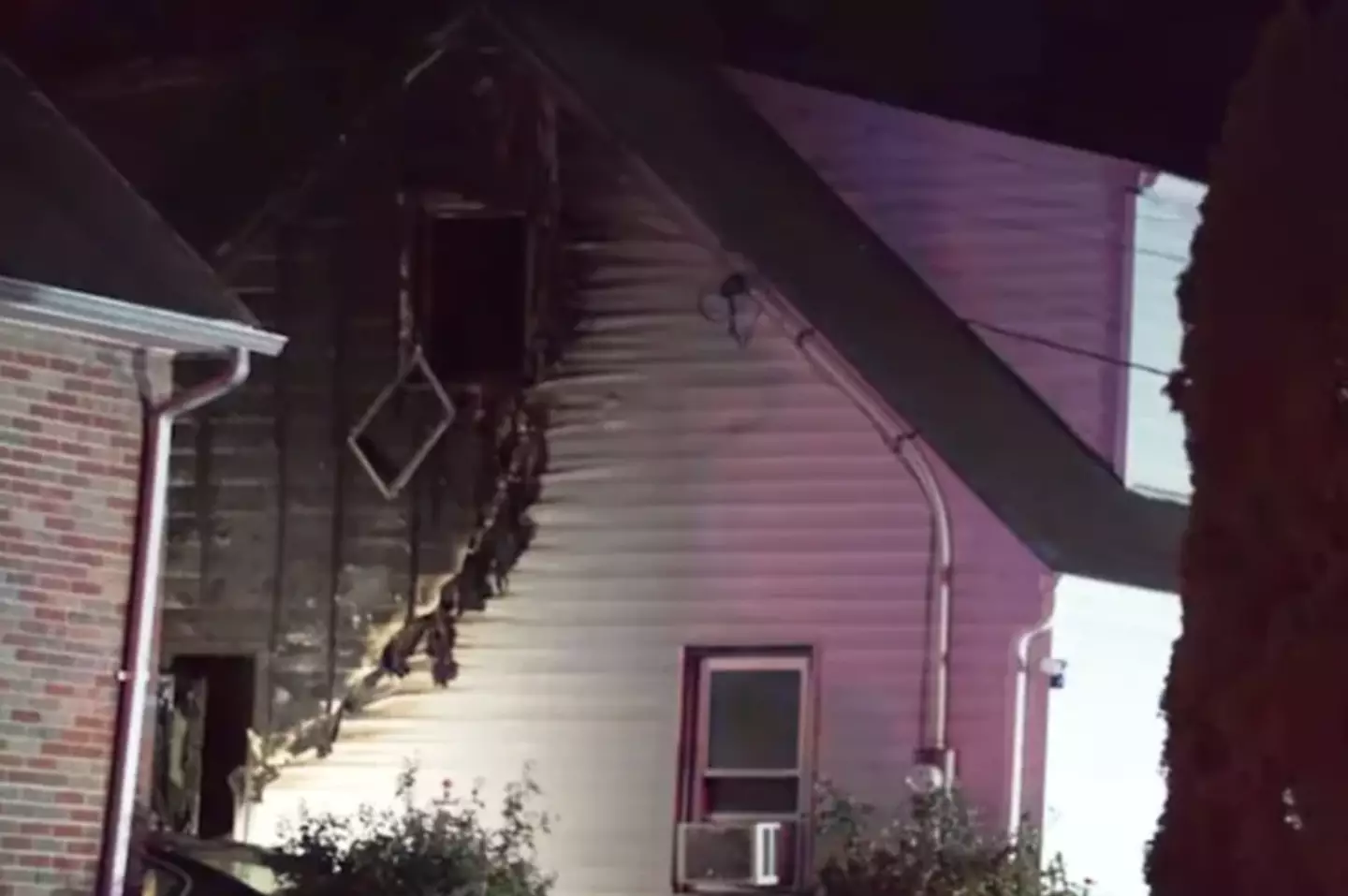 Five people have tragically died (YouTube/ABC7NY)