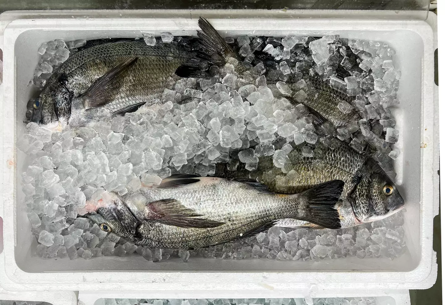 The ice might be making things worse (Getty Images)