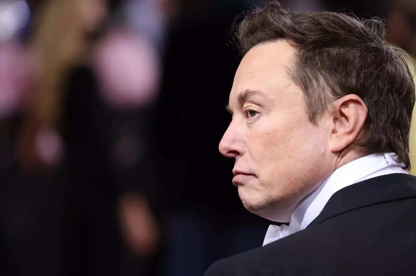 Elon Musk has shared who he's 'leaning towards' for the 2024 presidential election.  (