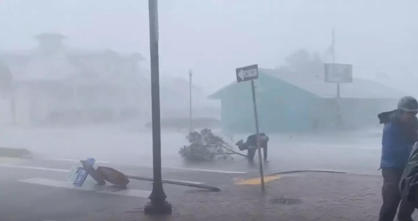 Cantore got taken out by the massive branch.