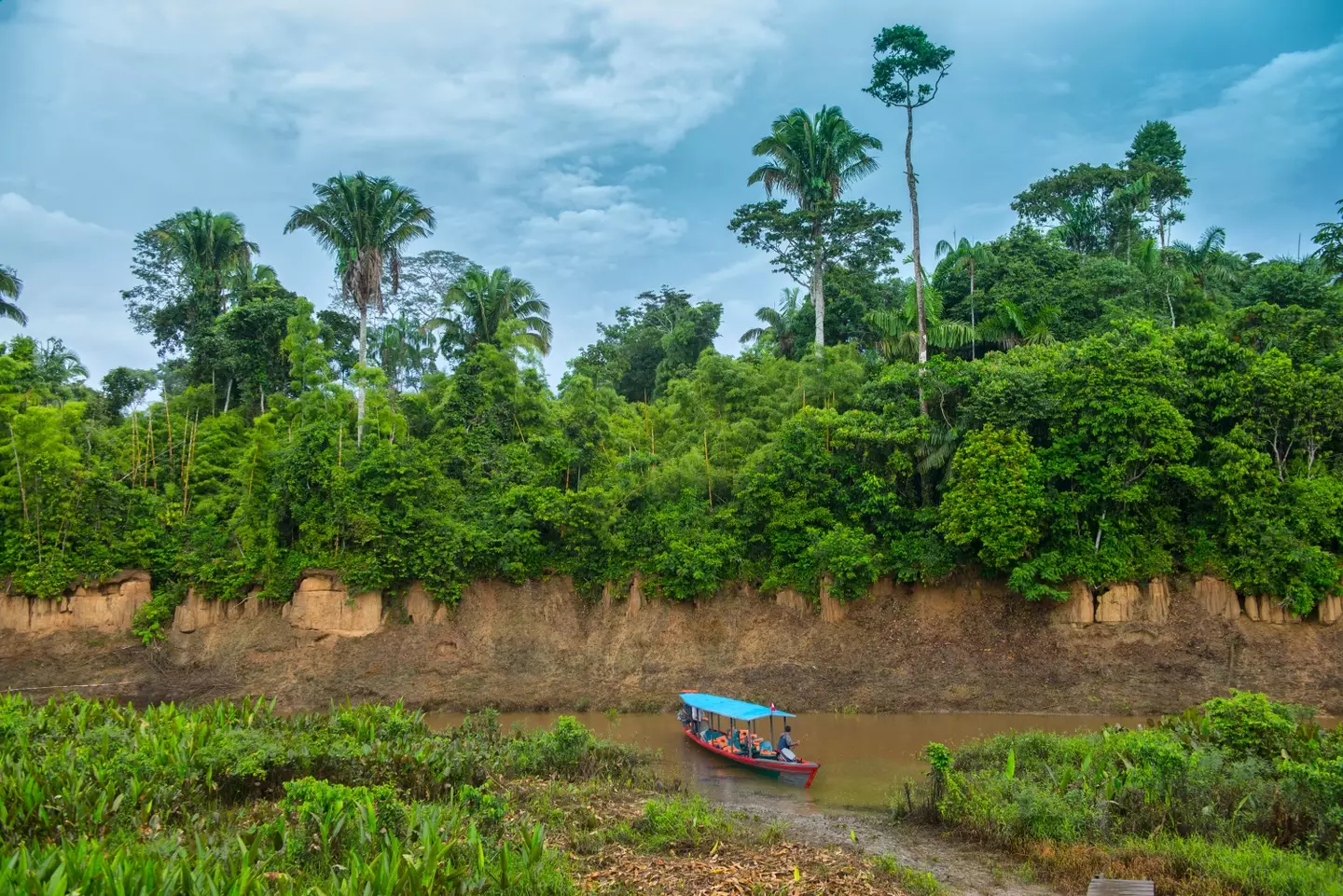 Mashco Piro tribe live in Peru's Manú National Park. (Dukas / Contributor/Getty)
