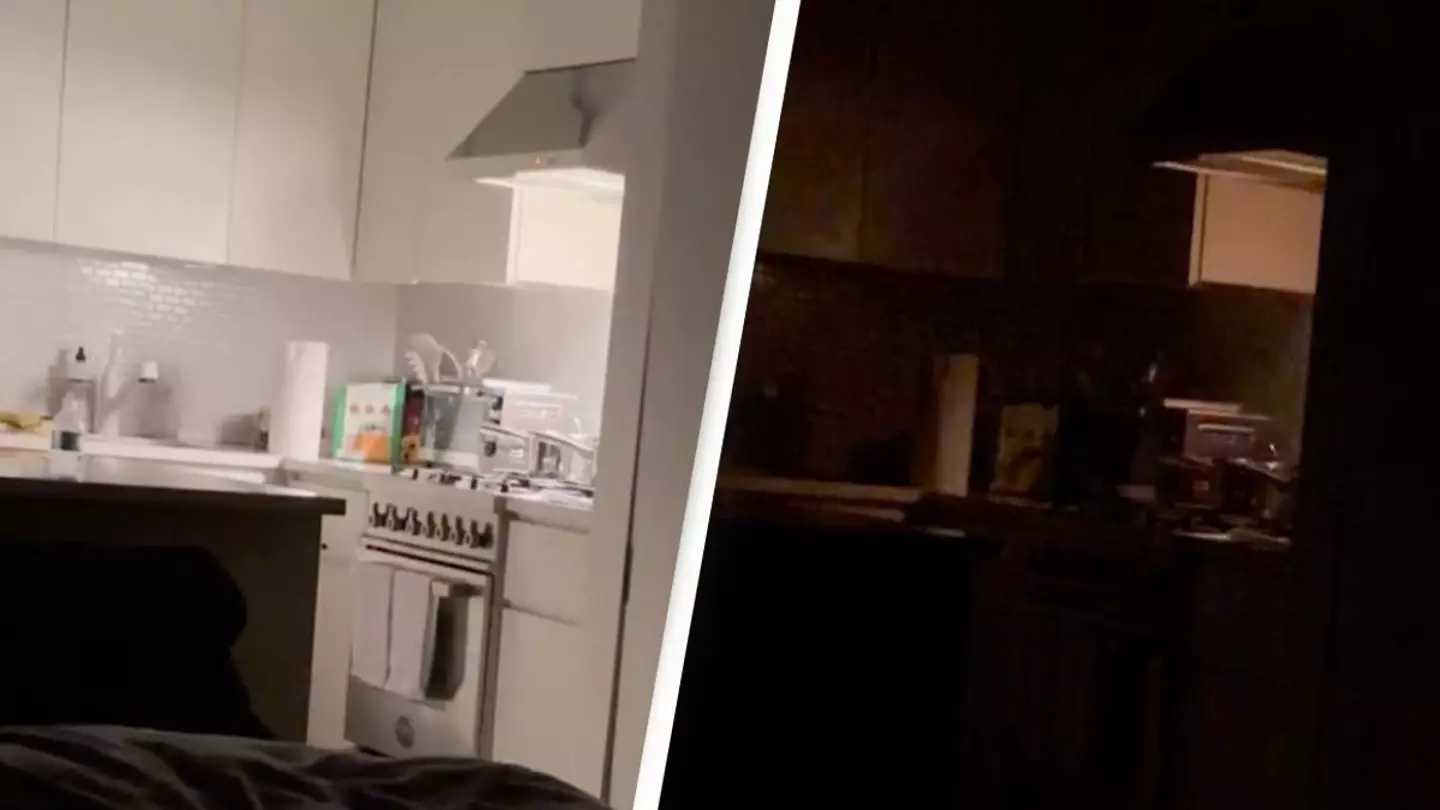 Reddit/Diligent_Lion1306