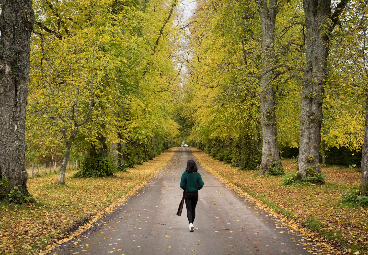 Going for a walk can get the cogs working better too (Getty Stock Images)