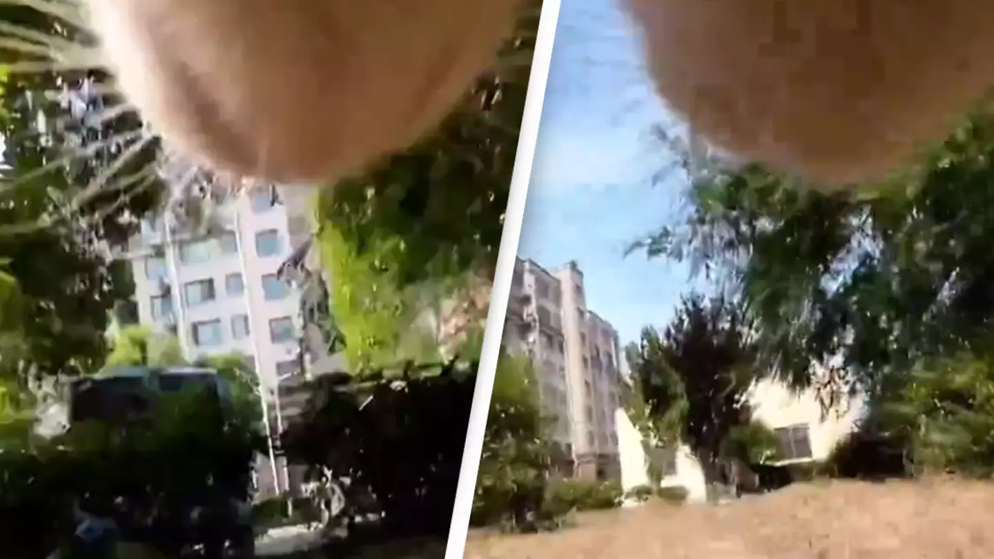 Pet owners put camera on their cat and make a shocking discovery