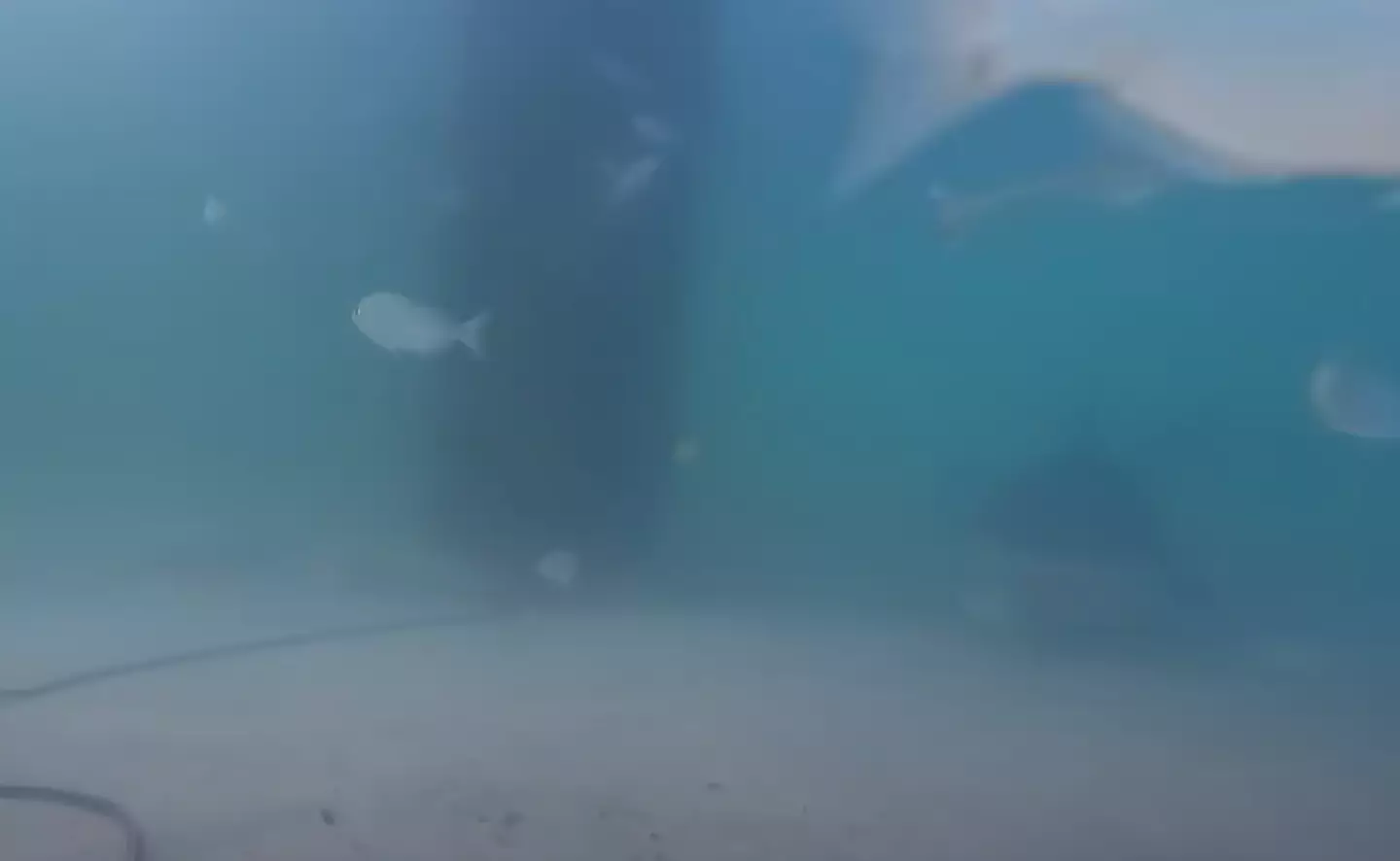 Can you see it yet? (YouTube/ AnglerUp with Brant)