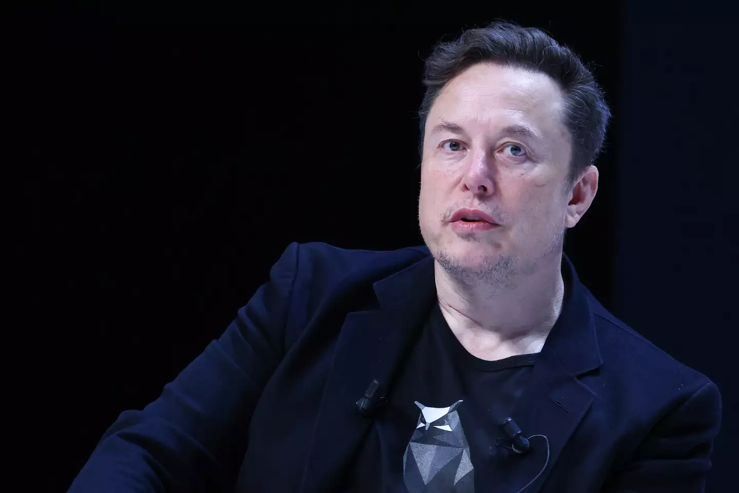 Musk has numerous successful businesses under his belt. (Marc Piasecki/Getty Images)