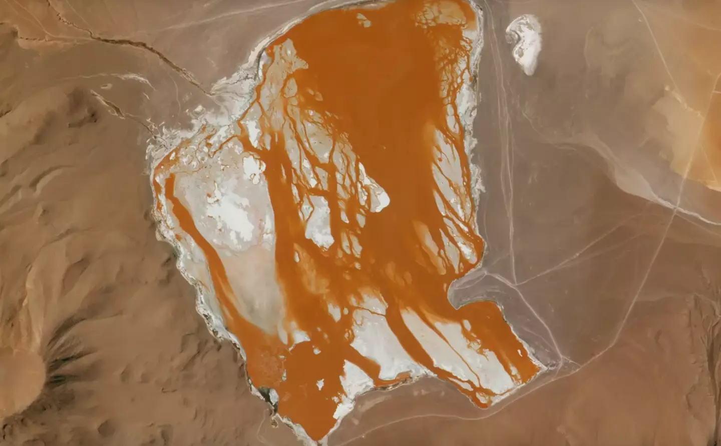 The Laguna Colorada in the Bolivian Andes.