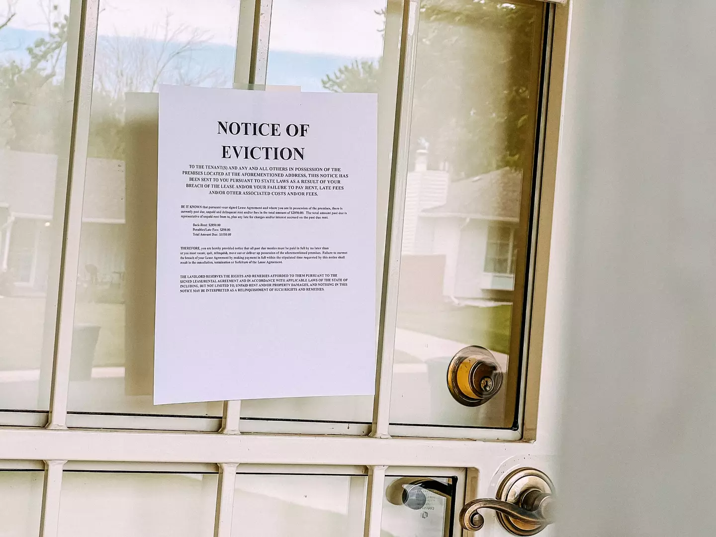 It proved very difficult for the woman to evict him (Getty Images)