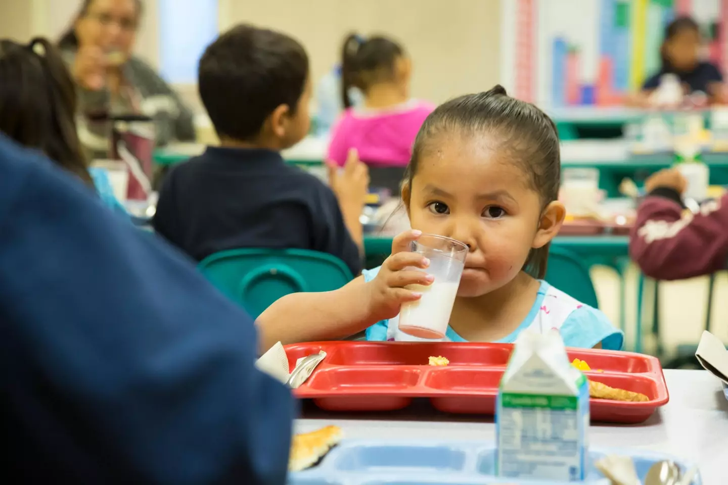 Several students complained of a burning sensation in their throat and mouth.