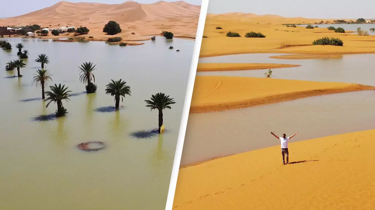 Sahara Desert flooded by water as once-in-50-year event takes place