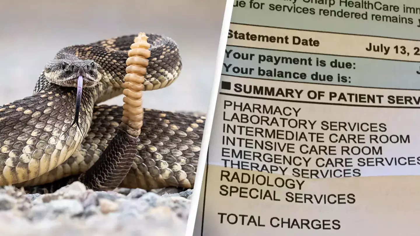 Man slapped with jaw-dropping medical bill after trying to take selfie with rattlesnake
